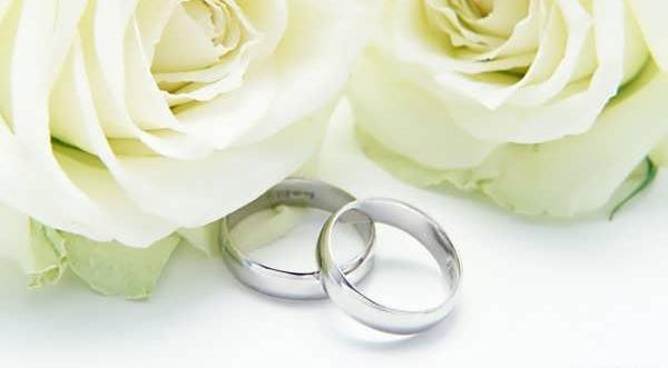 عکس گل رز سفید عاشقانه