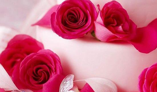 عکس گل رز عاشقانه و رمانتیک