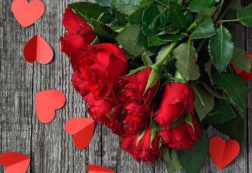 عکس گل رز عاشقانه و رمانتیک