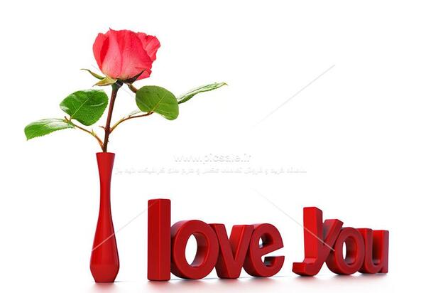 عکس گل رز عاشقانه و رمانتیک