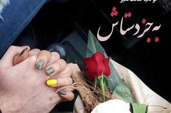 عکس گل رز عاشقانه و رمانتیک