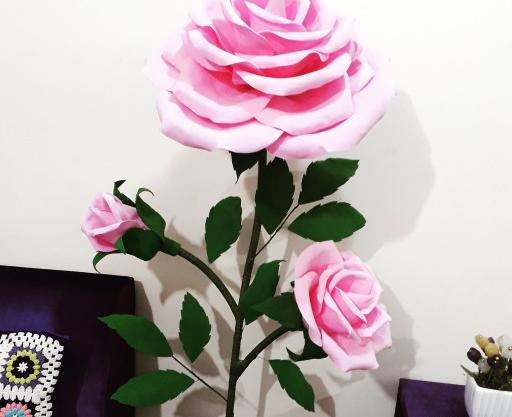 عکس گل رز فومی
