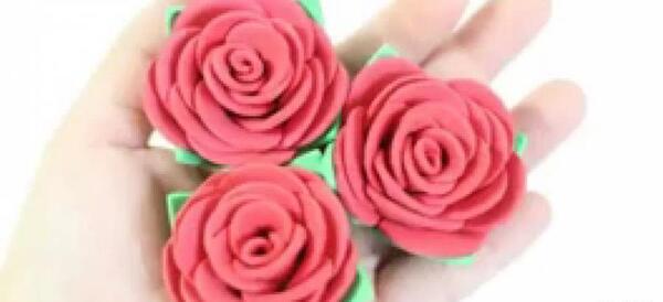 عکس گل رز فومی