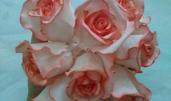 عکس گل رز فومی