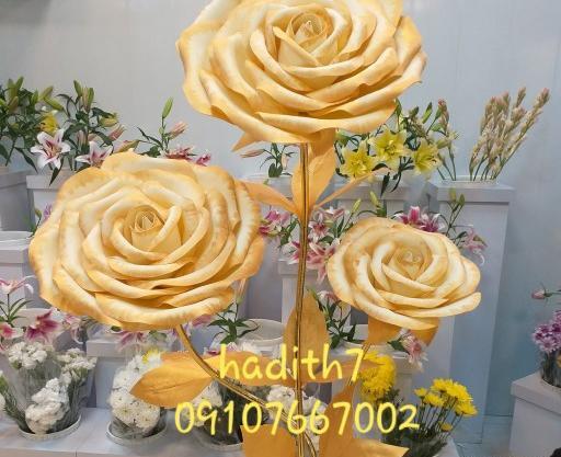 عکس گل رز فومی