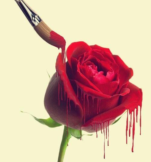 عکس گل رز نقاشی