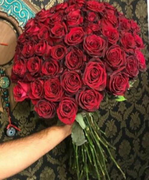 عکس گل رز هلندی قرمز