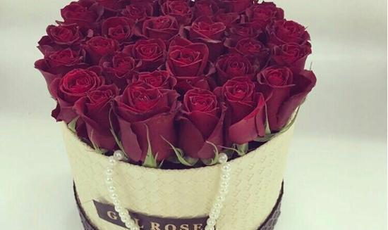 عکس گل رز هلندی قرمز