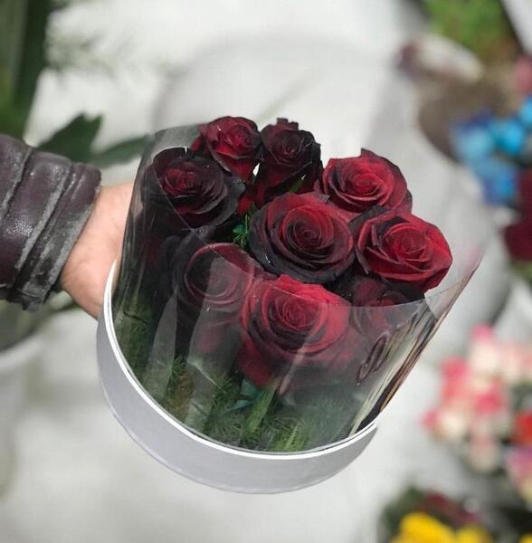 عکس گل رز هدیه دادن