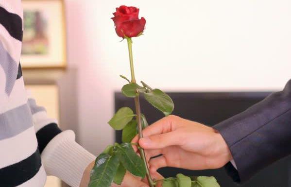عکس گل رز هدیه دادن