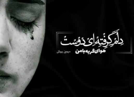 عکس گریه فان