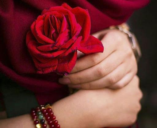 اینستاگرام عکس گل های زیبا