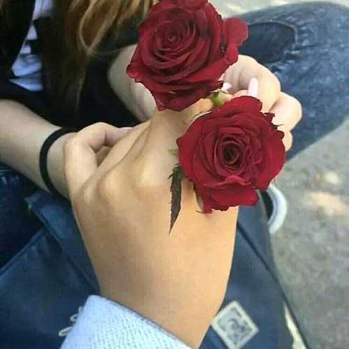 عکس گلهای زیبا تقدیم به عشقم