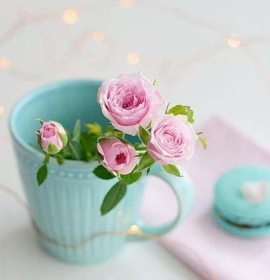 عکس گلهای زیبا جدید