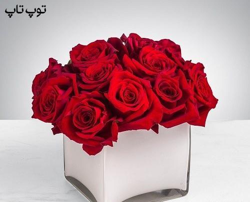 عکس گلهای زیبا جدید