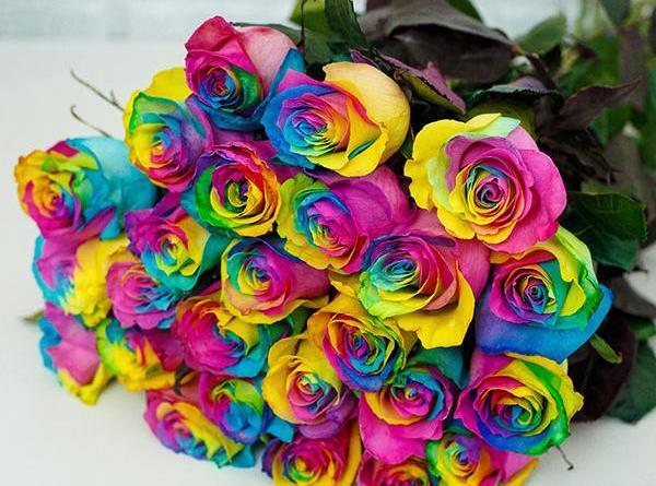 عکس گلهای زیبا خارجی