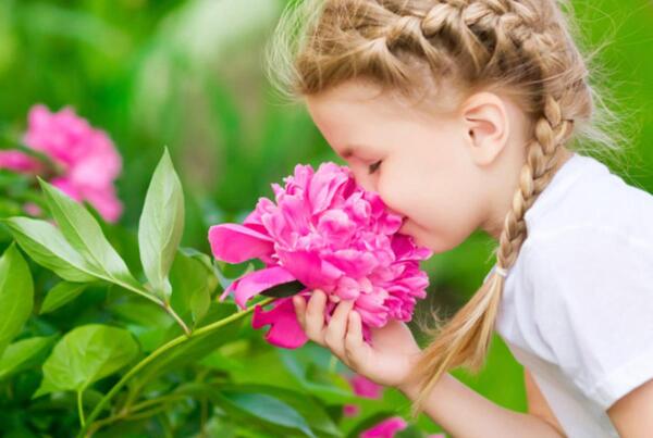عکس گل های زیبا در باغچه