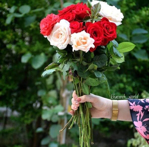 عکس گلهای زیبا و شاد