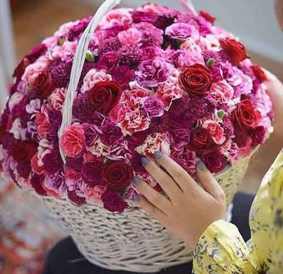 عکس گلهای زیبا و شاد