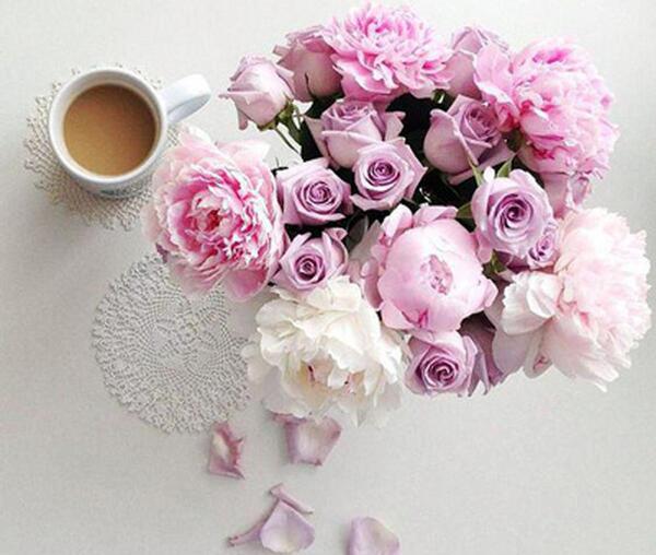 عکس گل های زیبا برای صبح بخیر