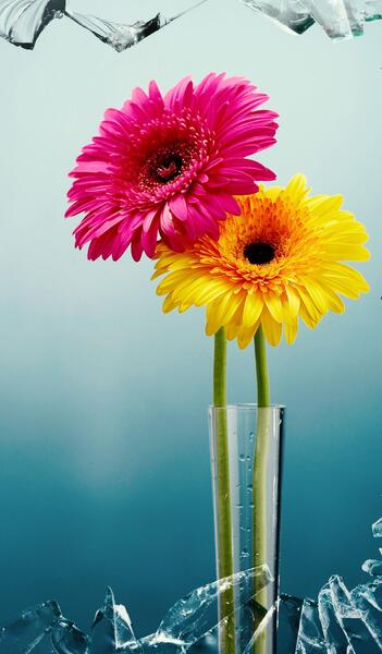 عکس گلهای زیبا برای صفحه موبایل
