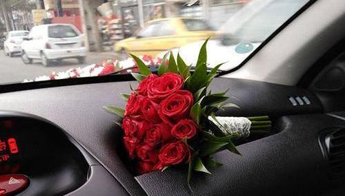 عکس گل نرگس جلوی ماشین