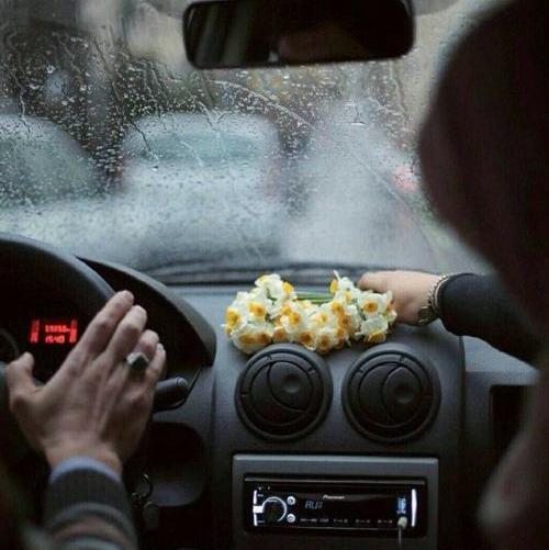 عکس گل نرگس جلوی ماشین