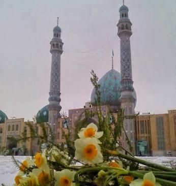 عکس گل نرگس جمکران
