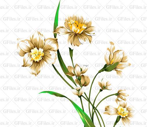 عکس طراحی گل نرگس