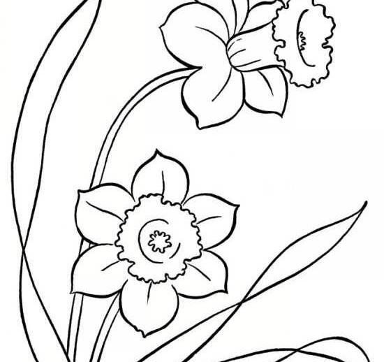 عکس طراحی گل نرگس