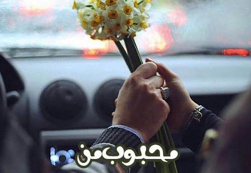 عکس پروفایل گل نرگس عاشقانه