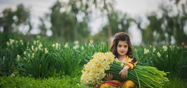 عکس پروفایل گل نرگس عاشقانه