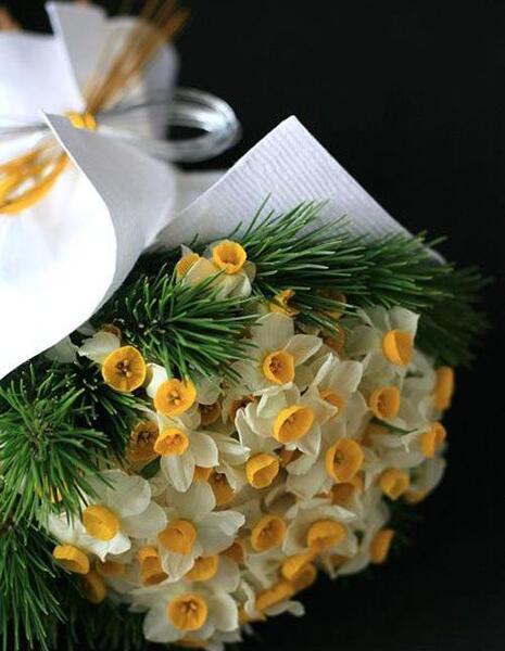 عکس گل نرگس برای عشقم