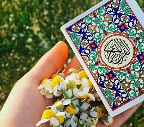 عکس پروفایل گل نرگس و قران