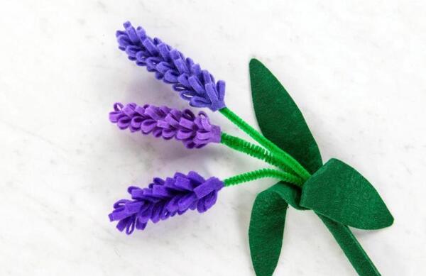 عکس گل نرگس نمدی