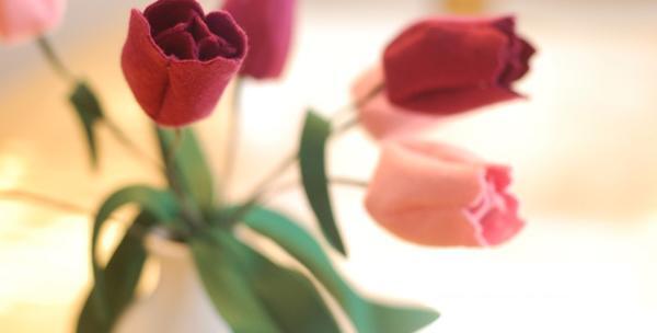 عکس گل نرگس نمدی