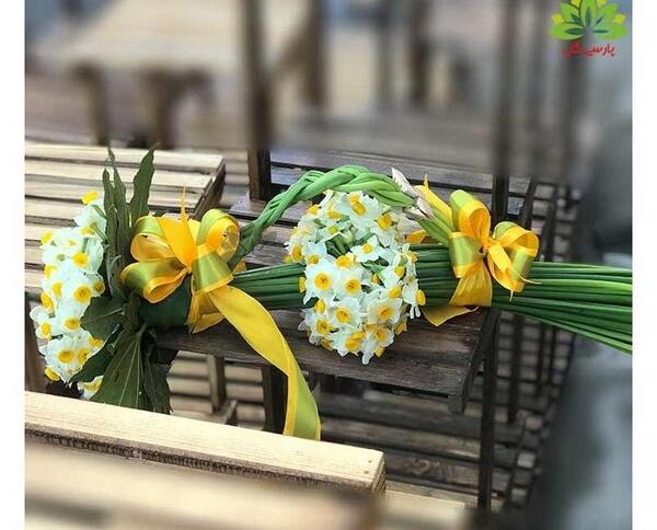 عکس یک دسته گل نرگس
