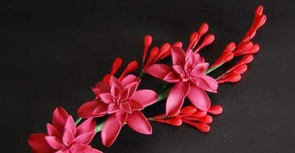 عکس گل مریم عاشقانه