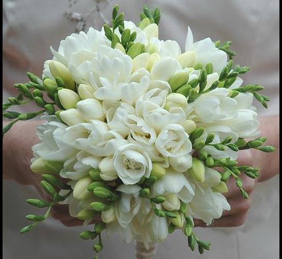 عکس گل مریم تزیین شده
