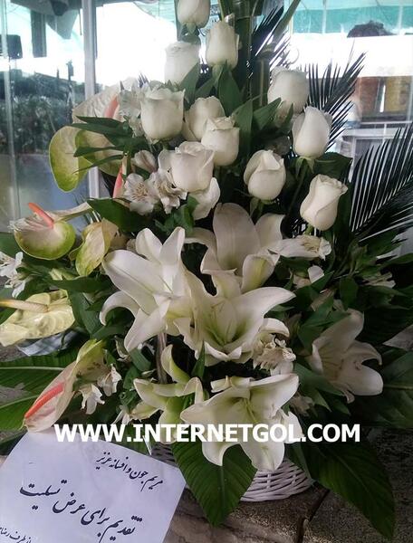 عکس گل مریم برای تسلیت