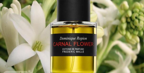 عکس عطر گل مریم