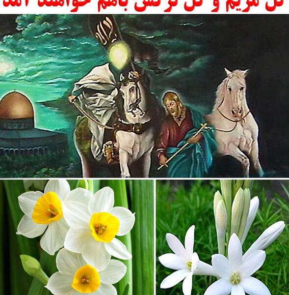 عکس گل مریم همراه با نوشته