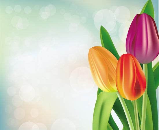 عکس گل لاله برای پس زمینه
