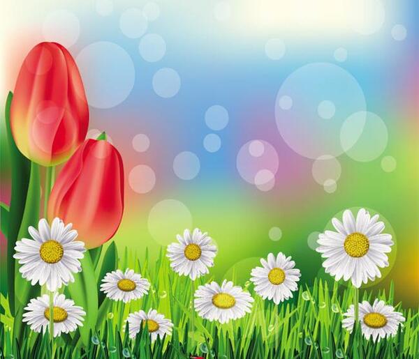 عکس گل لاله برای پس زمینه
