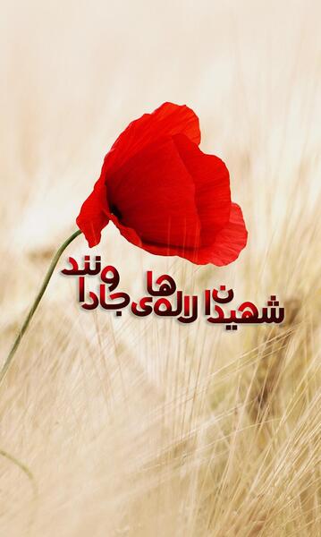 عکس گل لاله و شهید