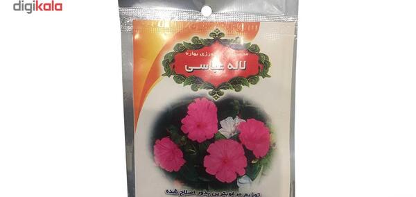 عکس گل لاله عباسی قرمز