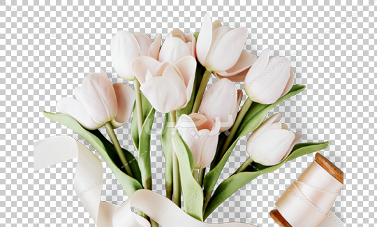 عکس لایه باز گل لاله