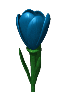 عکس گل لاله متحرک