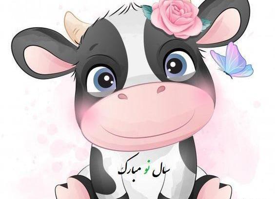 عکس گاو برای عید نوروز