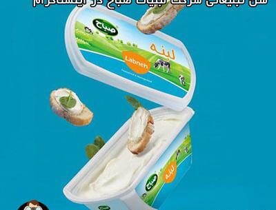 عکس گاو پنیر صباح